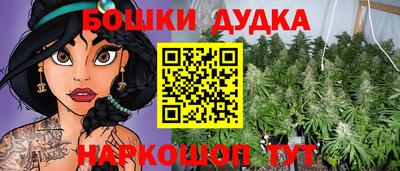 гашик Усть-Илимск