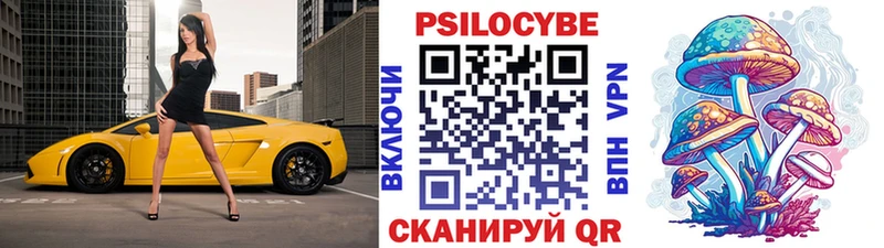 дарнет шоп  Псков  блэк спрут   Псилоцибиновые грибы Cubensis 