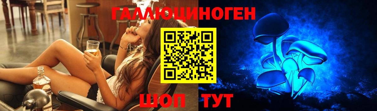 Псков  купить наркоту  Вход с VPN  Галлюциногенные грибы Psilocybine cubensis  Галлюциногенные грибы GOLDEN TEACHER 