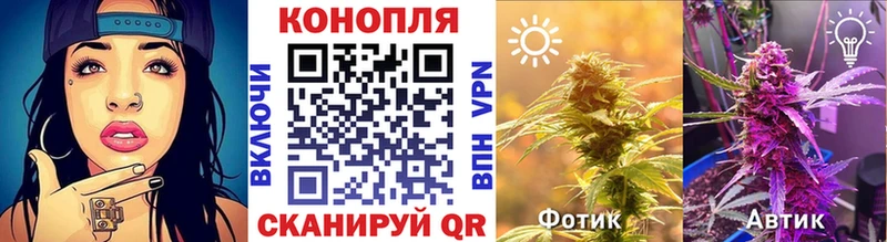 Каннабис VHQ  OMG   Псков  цена  